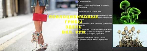 прущая мука Кинешма